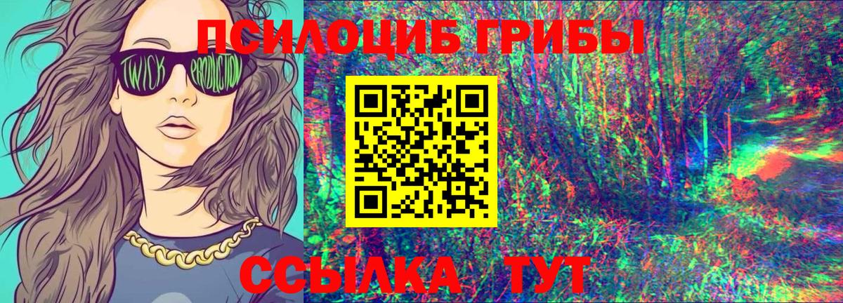 Псилоцибиновые грибы GOLDEN TEACHER  магазин  наркотиков  Волжск  Вход с VPN 