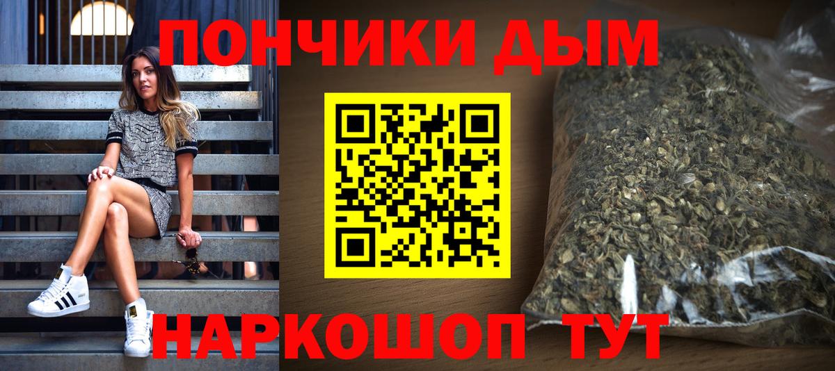 Конопля SATIVA & INDICA  Бошки Шишки план  Бошки Шишки планчик  Вход с VPN  Волжск 