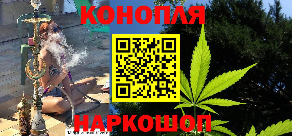 Шишки марихуана планчик Волжск